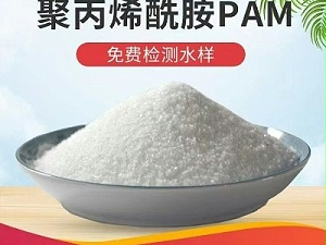 陰離子聚丙烯酰胺